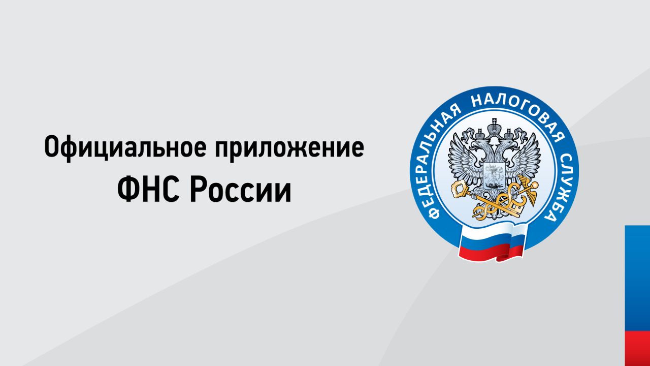 Скриншот приложения